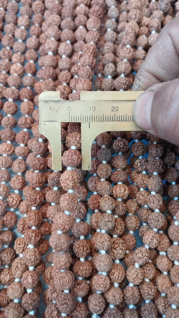 Small 5 Mukhi Rudraksha Mala – Energized | 108+1 Beads