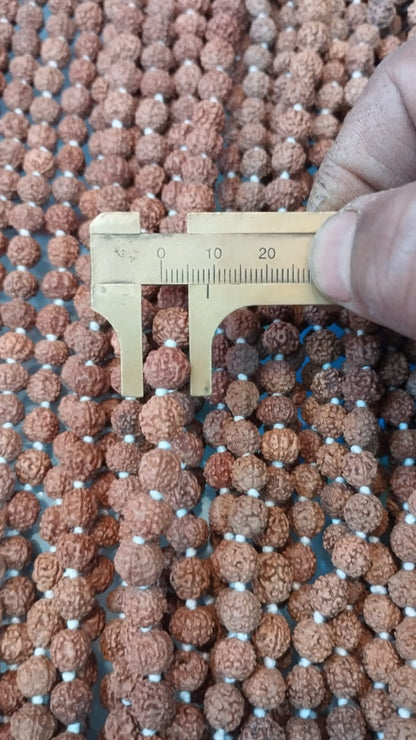 Small 5 Mukhi Rudraksha Mala – Energized | 108+1 Beads